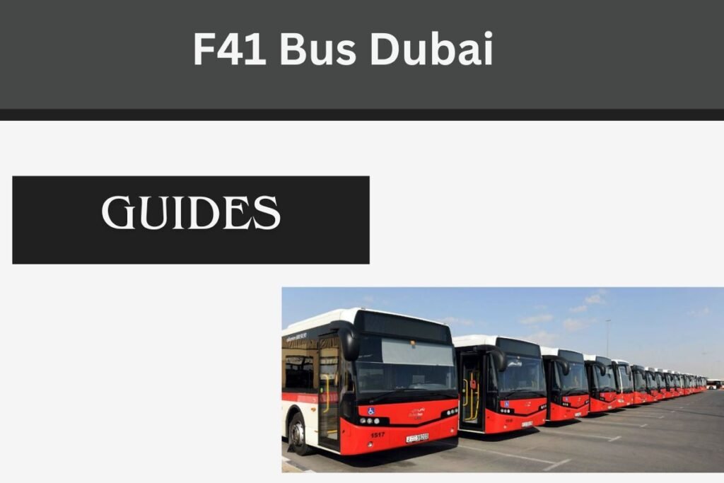 F41 Bus Dubai