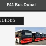 F41 Bus Dubai