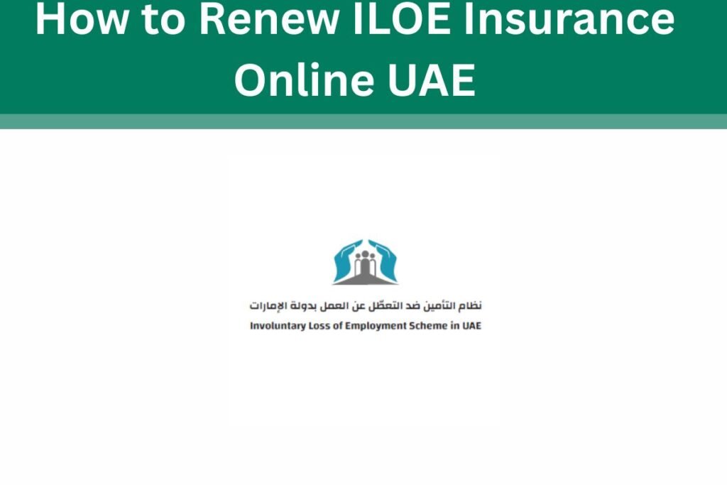 How to Renew ILOE Insurance Online UAE