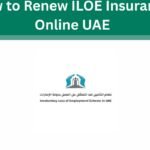 How to Renew ILOE Insurance Online UAE