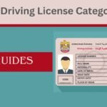 UAE Driving License Category 3